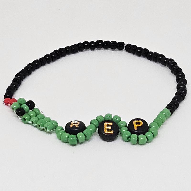 Rep Snake Friendship Bracelet