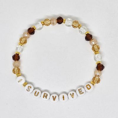 I Survived Friendship Bracelet (Long Story Short)