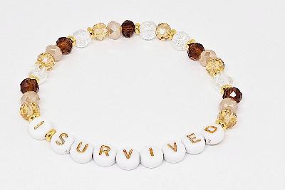 I Survived Friendship Bracelet (Long Story Short)